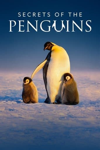Movie poster for Secrets of the Penguins