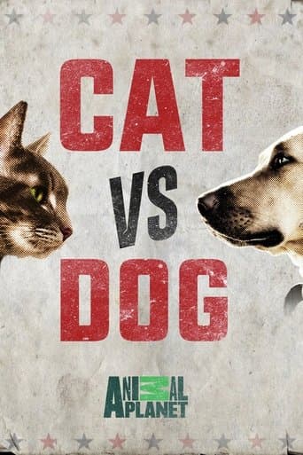 Movie poster for Cat vs. Dog