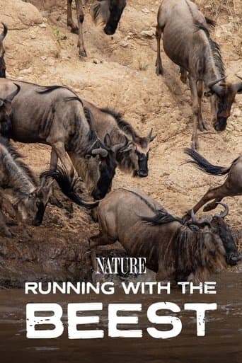 Movie poster for Running With The Beest