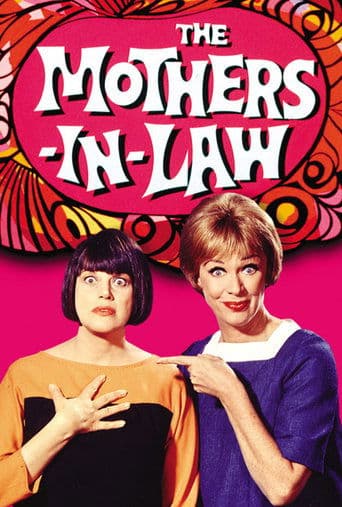 Movie poster for The Mothers-in-Law