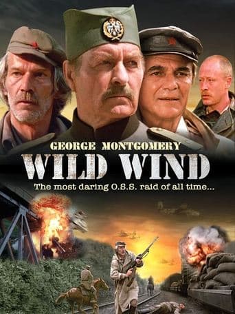 Movie poster for Wild Wind