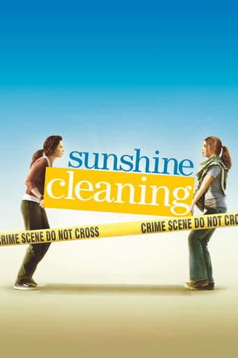 Movie poster for Sunshine Cleaning