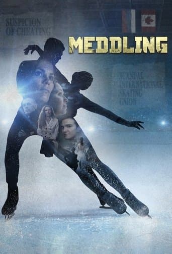 Movie poster for Meddling