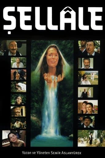 Movie poster for The Waterfall