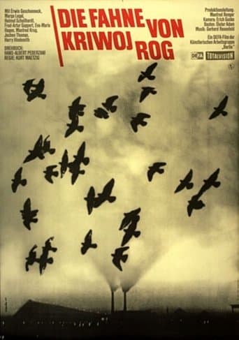 Movie poster for The Banner of Kryvyi Rih