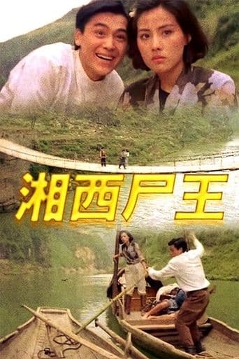 Movie poster for Kung Fu Vampire