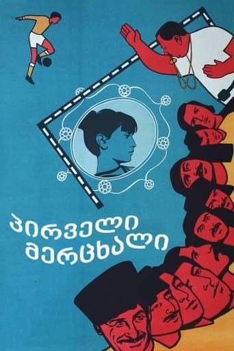 Movie poster for First Swallow
