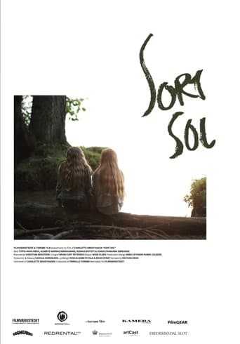 Movie poster for Sort sol