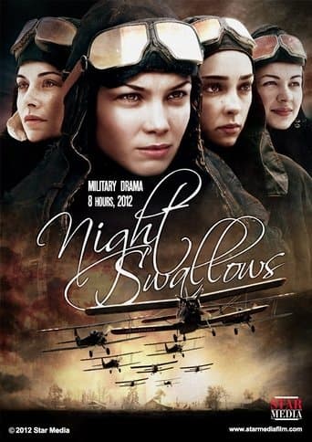 Movie poster for Night Swallows