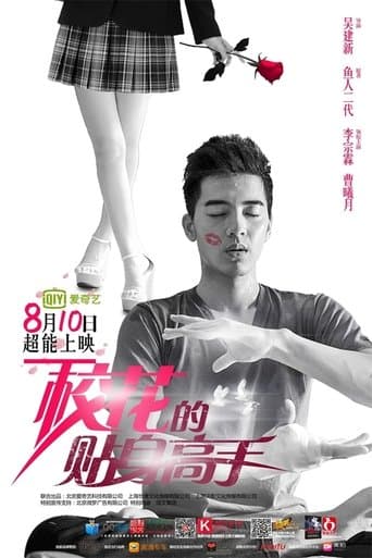 Movie poster for Mr. Bodyguard