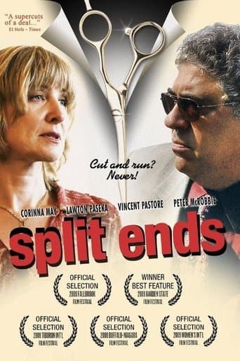 Movie poster for Split Ends