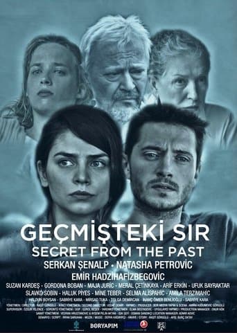 Movie poster for Secrets from the Past