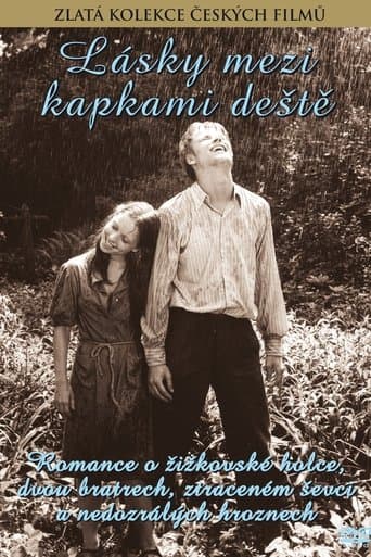 Movie poster for Love Between the Raindrops