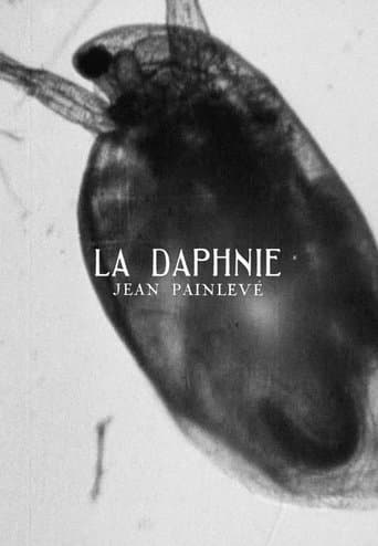 Movie poster for Daphnia
