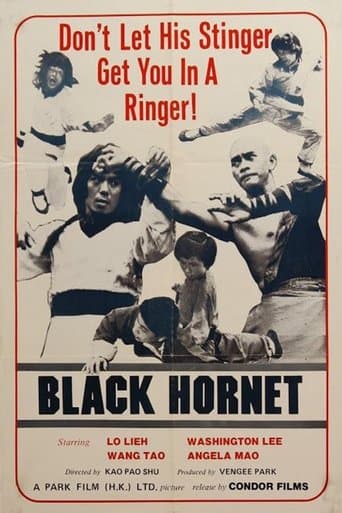 Movie poster for Black Hornet