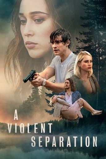 Movie poster for A Violent Separation