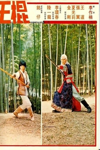 Movie poster for Shaolin Invincible Sticks