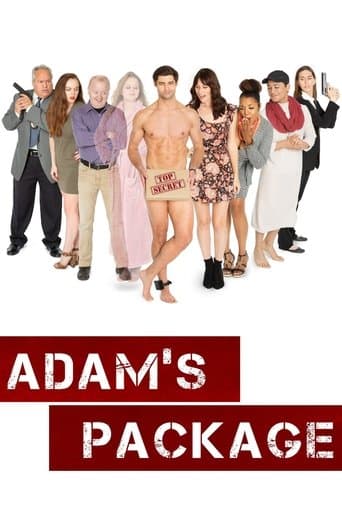 Movie poster for Adam's Package