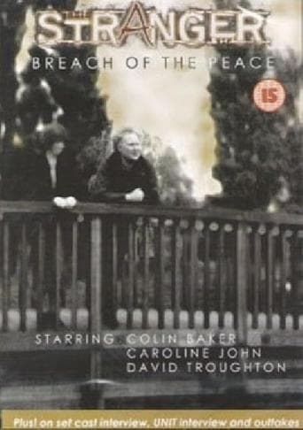 Movie poster for The Stranger: Breach of the Peace