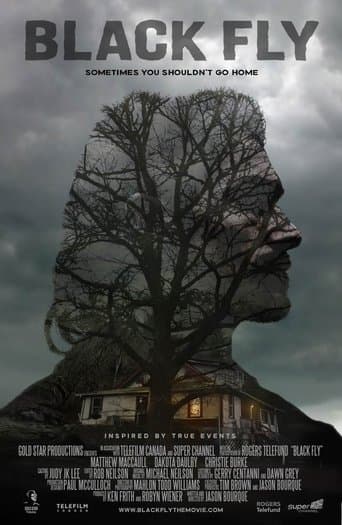 Movie poster for Black Fly