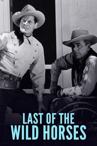 Movie poster for Last of the Wild Horses