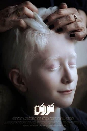 Movie poster for The Badger