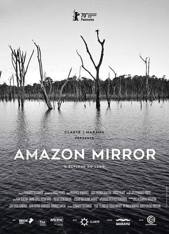 Movie poster for Amazon Mirror