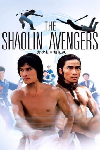 Movie poster for The Shaolin Avengers