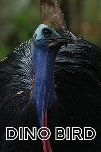 Movie poster for Dino Bird