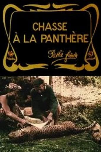 Movie poster for Hunting the Panther
