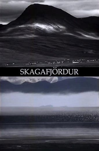Movie poster for Skagafjördur