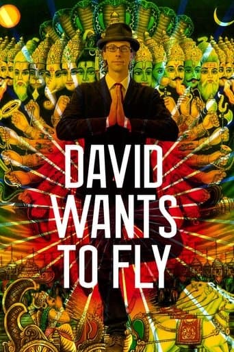 Movie poster for David Wants to Fly