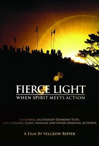 Movie poster for Fierce Light: When Spirit Meets Action