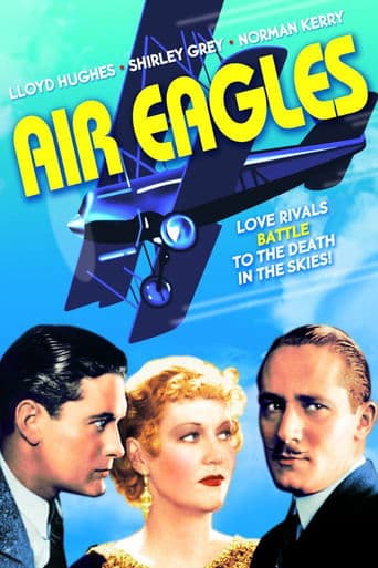 Movie poster for Air Eagles