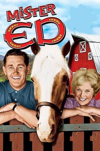 Movie poster for Mister Ed