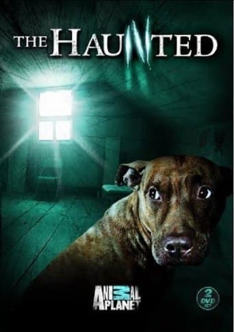 Movie poster for The Haunted