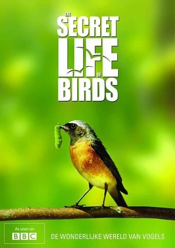 Movie poster for Iolo's Secret Life of Birds