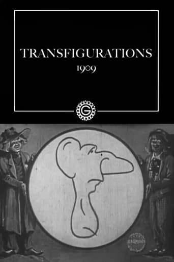 Movie poster for Transfigurations