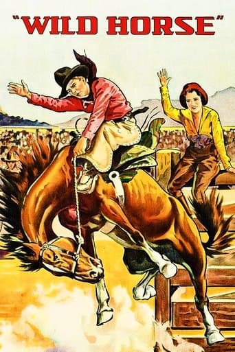 Movie poster for Wild Horse