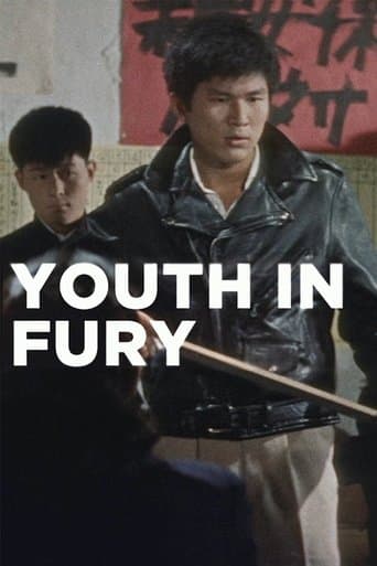 Movie poster for Youth in Fury