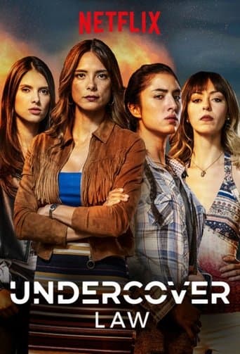 Movie poster for Undercover Law
