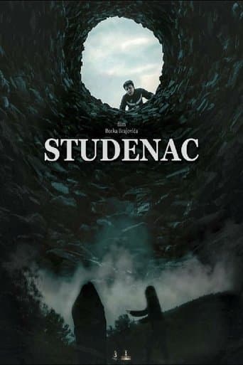 Movie poster for The Well