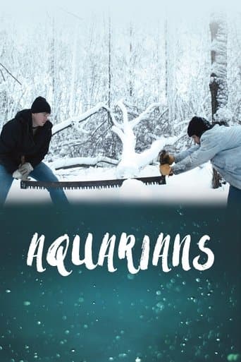 Movie poster for Aquarians