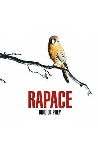 Movie poster for Bird of Prey