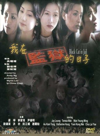 Movie poster for Black Cat in Jail