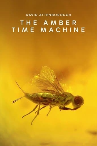 Movie poster for The Amber Time Machine