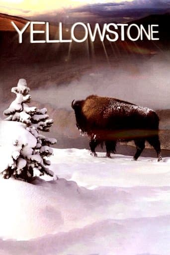 Movie poster for Yellowstone