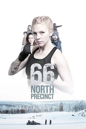 Movie poster for 66th North Precinct