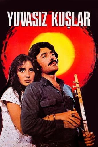 Movie poster for Yuvasız Kuşlar