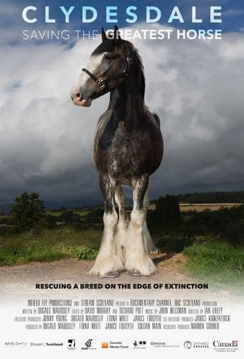 Movie poster for Clydesdale: Saving the Greatest Horse